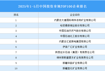 產業(yè)投資情報：2025年1-5月中國投資拿地TOP100企業(yè)排行榜（產業(yè)篇）