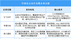2025年中國光纖光纜重點企業(yè)業(yè)務布局預測分析（圖）