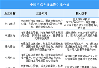 2025年中國(guó)光纖光纜重點(diǎn)企業(yè)業(yè)務(wù)布局預(yù)測(cè)分析（圖）