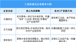 2025年中國(guó)工業(yè)硅產(chǎn)量及重點(diǎn)企業(yè)布局預(yù)測(cè)分析（圖）