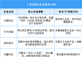 2025年中國(guó)工業(yè)硅產(chǎn)量及重點(diǎn)企業(yè)布局預(yù)測(cè)分析（圖）