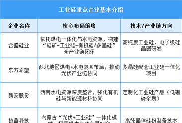 2025年中國工業(yè)硅產(chǎn)量及重點(diǎn)企業(yè)布局預(yù)測分析（圖）