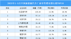 2025年1-5月中國新能源汽車廠商零售銷量排行榜TOP10（附榜單）