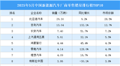 2025年5月中國新能源汽車廠商零售銷量排行榜TOP10（附榜單）