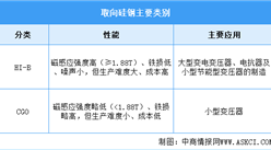 2025年中国取向硅钢行业市场前景预测研究报告（简版）