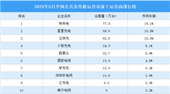 2025年5月中國公共充電樁運(yùn)營量前十運(yùn)營商排行榜（附榜單）