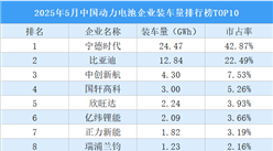 2025年5月中國動(dòng)力電池企業(yè)裝車量排行榜TOP10（附榜單）