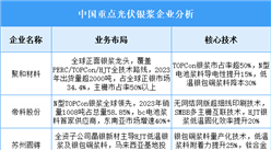 2025年中國光伏銀漿重點企業(yè)業(yè)務(wù)布局預(yù)測分析（圖）