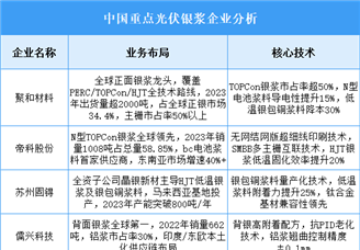 2025年中國光伏銀漿重點企業(yè)業(yè)務(wù)布局預(yù)測分析（圖）