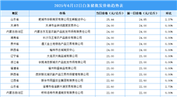 2025年6月13日全國各地最新白條豬價格行情走勢分析