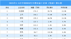2025年1-5月中國(guó)國(guó)內(nèi)汽車銷量前十企業(yè)（集團(tuán)）排行榜（附榜單）