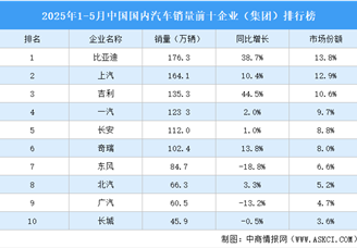 2025年1-5月中國國內(nèi)汽車銷量前十企業(yè)（集團(tuán)）排行榜（附榜單）