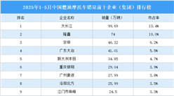 2025年1-5月中國燃油摩托車銷量前十企業(yè)（集團(tuán)）排行榜（附榜單）