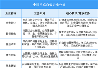 2025年中國白銀重點企業(yè)業(yè)務(wù)布局預(yù)測分析（圖）
