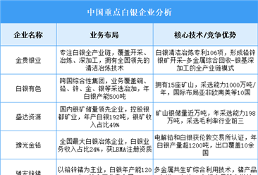 2025年中国白银重点企业业务布局预测分析（图）