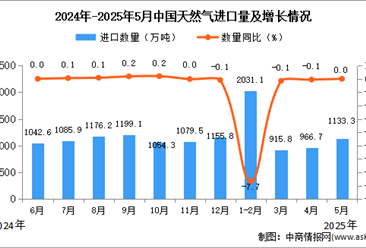 2025年5月中国天然气进口数据统计分析：进口量1133.3万吨