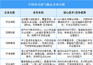 2025年中國油氣航運重點企業(yè)業(yè)務(wù)布局預(yù)測分析（圖）
