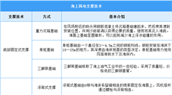 2025年中國海上風(fēng)電行業(yè)市場前景預(yù)測研究報告（簡版）