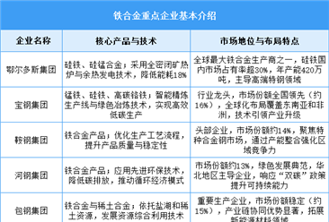 2025年中国铁合金产量及重点企业布局情况预测分析（图）