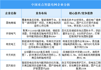 2025年中國智能電網(wǎng)重點企業(yè)業(yè)務布局預測分析（圖）