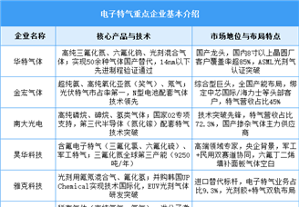 2025年中国电子特气市场规模及企业布局情况预测分析（图）
