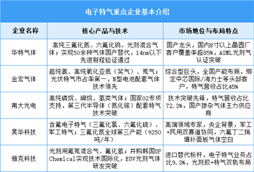 2025年中国电子特气市场规模及企业布局情况预测分析（图）