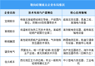 2025年中國(guó)取向硅鋼產(chǎn)量及企業(yè)布局情況預(yù)測(cè)分析（圖）