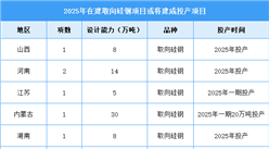 2025年中國取向硅鋼產(chǎn)量及在建項目預測分析（圖）