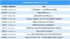 2025年中國照明設備行業(yè)上市公司全方位對比分析（企業(yè)分布、經(jīng)營情況、業(yè)務布局等）