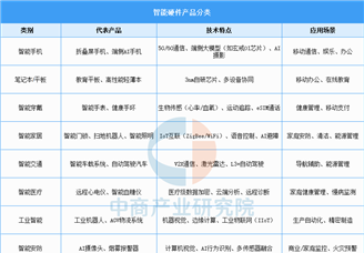 2025年中國智能硬件?行業(yè)市場前景預(yù)測研究報告（簡版）