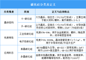 2025年中國(guó)碳化硅行業(yè)市場(chǎng)前景預(yù)測(cè)研究報(bào)告（簡(jiǎn)版）