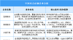 2025年中國(guó)硅鋼重點(diǎn)企業(yè)業(yè)務(wù)布局預(yù)測(cè)分析（圖）