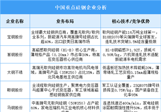 2025年中國硅鋼重點企業(yè)業(yè)務(wù)布局預(yù)測分析（圖）