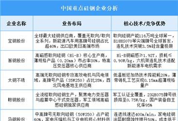 2025年中國硅鋼重點(diǎn)企業(yè)業(yè)務(wù)布局預(yù)測分析（圖）