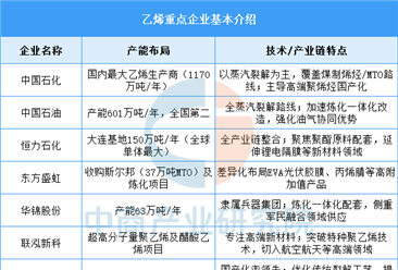 2025年中國(guó)乙烯產(chǎn)量及企業(yè)布局情況預(yù)測(cè)分析（圖）