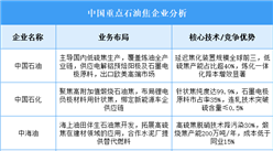 2025年中國石油焦重點企業(yè)業(yè)務(wù)布局預測分析（圖）