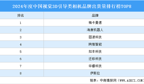 2024年度中国视觉3D引导类相机品牌出货量排行榜TOP8（附榜单）