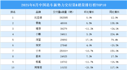 2025年6月中國造車新勢力交付量&銷量排行榜TOP10（附榜單）
