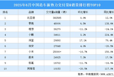 2025年6月中国造车新势力交付量&销量排行榜TOP10（附榜单）