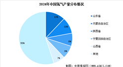 2025年中國氫氣產(chǎn)量預測及地區(qū)分布情況分析（圖）