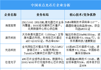 2025年中國光芯片重點(diǎn)企業(yè)業(yè)務(wù)布局預(yù)測(cè)分析（圖）