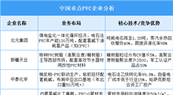 2025年中国PVC重点企业业务布局预测分析（图）