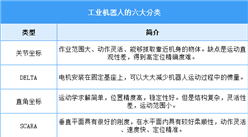 2025年中國(guó)工業(yè)機(jī)器人行業(yè)市場(chǎng)前景預(yù)測(cè)研究報(bào)告（簡(jiǎn)版）