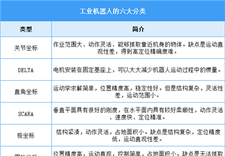2025年中國工業(yè)機器人行業(yè)市場前景預測研究報告（簡版）