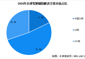 2025年全球駕駛輔助解決方案市場(chǎng)規(guī)模預(yù)測(cè)及市場(chǎng)占比分析（圖）
