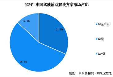 2025年中國駕駛輔助解決方案市場規(guī)模預(yù)測及市場占比分析（圖）