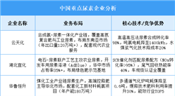2025年中國尿素重點(diǎn)企業(yè)業(yè)務(wù)布局預(yù)測分析（圖）