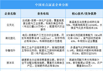 2025年中國尿素重點(diǎn)企業(yè)業(yè)務(wù)布局預(yù)測分析（圖）