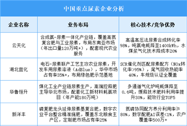 2025年中國(guó)尿素重點(diǎn)企業(yè)業(yè)務(wù)布局預(yù)測(cè)分析（圖）