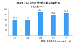 2025年1-5月全球動(dòng)動(dòng)力電池裝機(jī)量情況：磷酸鐵鋰動(dòng)力電池裝機(jī)量占比53.6%（圖）